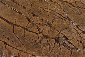 مرمریت رین فارست