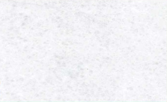 چینی سیرجان